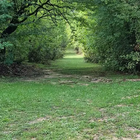Farma Fattoria La Ginestra, Museo Della Civilta Contadina *