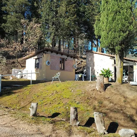 Gospodarstwo agroturystyczne Fattoria La Ginestra, Museo Della Civilta Contadina *