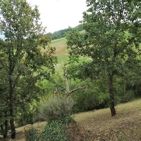 Fattoria La Ginestra, Museo Della Civilta Contadina Farmház